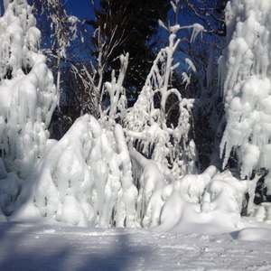 Meet your Posher, Peggy